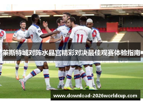 莱斯特城对阵水晶宫精彩对决最佳观赛体验指南